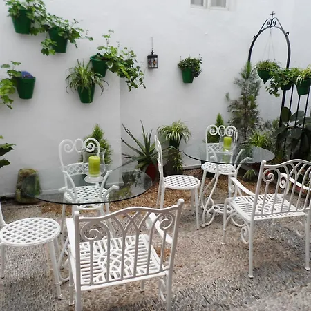 Guest house Hospederia Luis De Gongora Cordoba